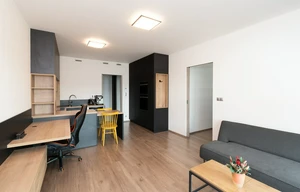 Apartment for rent, 2+kk - 1 bedroom, 55m<sup>2</sup>