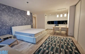 Apartment for rent, 1+KK - Studio, 50m<sup>2</sup>