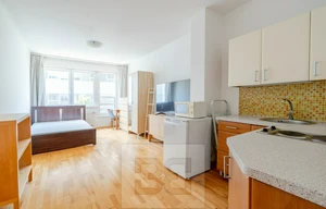 Apartment for rent, 1+KK - Studio, 30m<sup>2</sup>