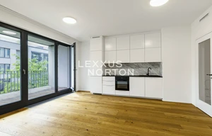 Apartment for rent, 2+kk - 1 bedroom, 56m<sup>2</sup>
