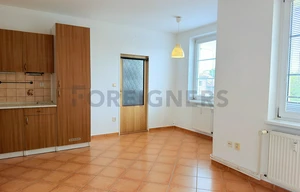 Apartment for rent, 2+kk - 1 bedroom, 45m<sup>2</sup>
