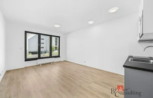 Apartment for rent, 1+KK - Studio, 33m<sup>2</sup>