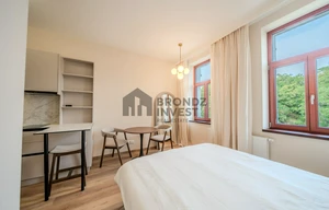 Apartment for rent, 1+KK - Studio, 25m<sup>2</sup>