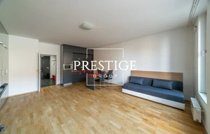 Apartment for rent, 1+KK - Studio, 45m<sup>2</sup>