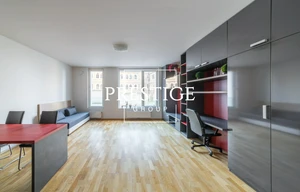 Apartment for rent, 1+KK - Studio, 45m<sup>2</sup>