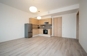 Apartment for rent, 2+kk - 1 bedroom, 43m<sup>2</sup>