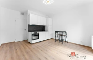 Apartment for rent, 1+KK - Studio, 22m<sup>2</sup>