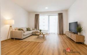 Apartment for rent, 1+KK - Studio, 47m<sup>2</sup>