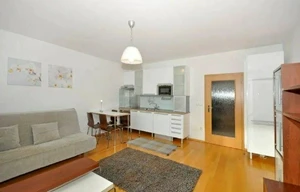 Apartment for rent, 1+KK - Studio, 38m<sup>2</sup>