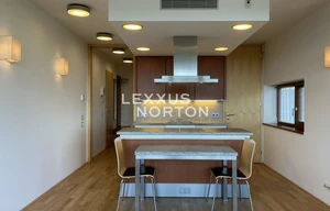 Apartment for rent, 2+kk - 1 bedroom, 60m<sup>2</sup>