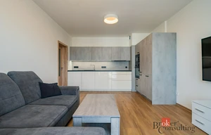 Apartment for rent, 2+kk - 1 bedroom, 50m<sup>2</sup>