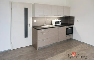 Apartment for rent, 1+KK - Studio, 37m<sup>2</sup>