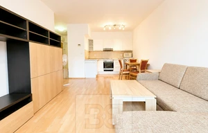 Apartment for rent, 2+kk - 1 bedroom, 45m<sup>2</sup>
