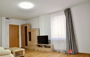 Apartment for rent, 3+kk - 2 bedrooms, 55m<sup>2</sup>