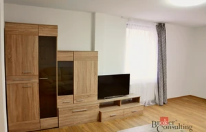 Apartment for rent, 3+kk - 2 bedrooms, 55m<sup>2</sup>