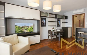 Apartment for rent, 1+KK - Studio, 30m<sup>2</sup>