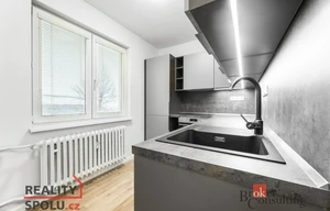 Apartment for rent, 1+1 - Studio, 40m<sup>2</sup>
