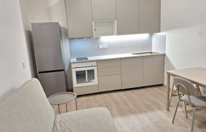 Apartment for rent, 2+kk - 1 bedroom, 49m<sup>2</sup>