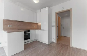 Apartment for rent, 1+KK - Studio, 28m<sup>2</sup>