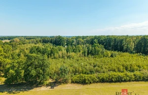 Forest for sale, 37347m<sup>2</sup>