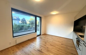 Apartment for rent, 2+kk - 1 bedroom, 42m<sup>2</sup>