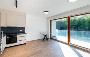 Apartment for rent, 1+KK - Studio, 33m<sup>2</sup>