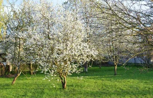Building plot for sale, 2573m<sup>2</sup>