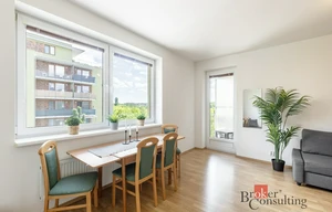 Apartment for sale, 1+KK - Studio, 48m<sup>2</sup>