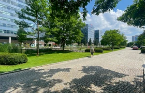 Office for rent, 25m<sup>2</sup>