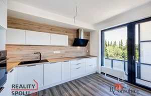 Apartment for rent, 2+kk - 1 bedroom, 56m<sup>2</sup>