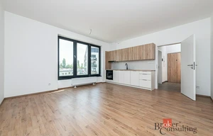 Apartment for rent, 1+KK - Studio, 38m<sup>2</sup>