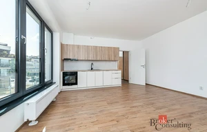 Apartment for rent, 1+KK - Studio, 38m<sup>2</sup>