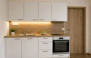 Apartment for rent, 1+KK - Studio, 31m<sup>2</sup>