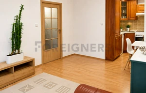 Apartment for rent, 2+kk - 1 bedroom, 45m<sup>2</sup>