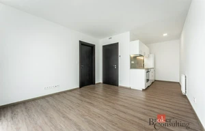Apartment for rent, 2+kk - 1 bedroom, 47m<sup>2</sup>