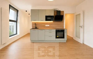 Apartment for rent, 1+KK - Studio, 40m<sup>2</sup>