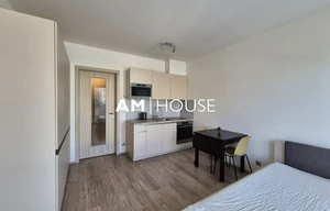 Apartment for rent, 1+KK - Studio, 30m<sup>2</sup>