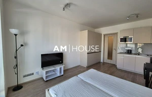 Apartment for rent, 1+KK - Studio, 30m<sup>2</sup>