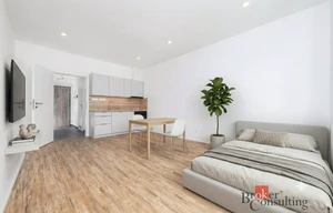 Apartment for rent, 1+KK - Studio, 35m<sup>2</sup>