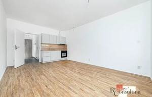 Apartment for rent, 1+KK - Studio, 35m<sup>2</sup>