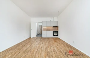 Apartment for rent, 1+KK - Studio, 35m<sup>2</sup>