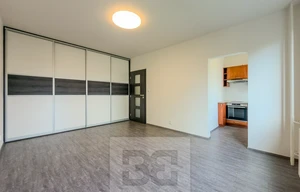 Apartment for rent, 1+KK - Studio, 31m<sup>2</sup>