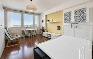 Apartment for rent, 1+KK - Studio, 44m<sup>2</sup>