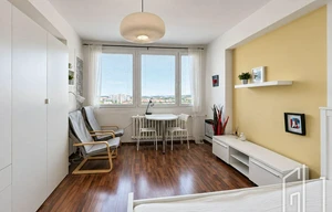 Apartment for rent, 1+KK - Studio, 44m<sup>2</sup>