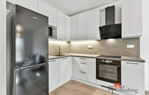 Apartment for rent, 2+kk - 1 bedroom, 51m<sup>2</sup>