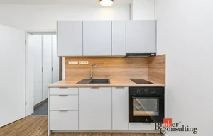 Apartment for rent, 1+KK - Studio, 31m<sup>2</sup>