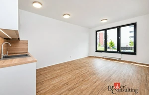 Apartment for rent, 1+KK - Studio, 31m<sup>2</sup>