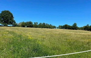 Other land for sale, 6229m<sup>2</sup>