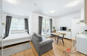 Apartment for rent, 1+KK - Studio, 32m<sup>2</sup>