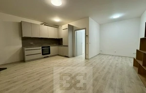 Apartment for rent, 1+KK - Studio, 44m<sup>2</sup>